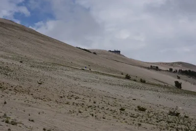 DSC_3090 (Large).JPG